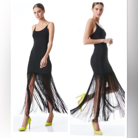 Alice + Olivia Dresses & Skirts - NEW ALICE + OLIVIA - STEPH SCOOP NECK FRINGE DRESS - BLACK Size 4